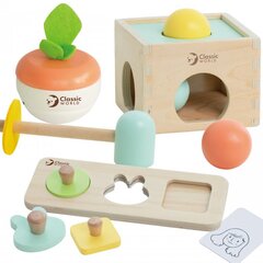 Детский развивающий набор в коробке Classid World цена и информация | Игрушки для малышей | kaup24.ee