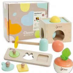 Детский развивающий набор в коробке Classid World цена и информация | Игрушки для малышей | kaup24.ee