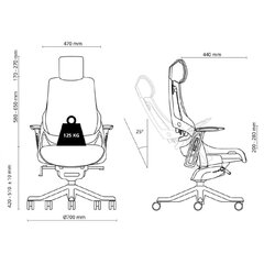 Эргономичное кресло Wau, белый/белый цена и информация | Офисные кресла | kaup24.ee
