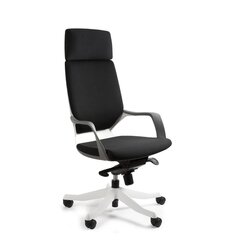 Эргономичное кресло Apollo, белый/черный цена и информация | Офисные кресла | kaup24.ee