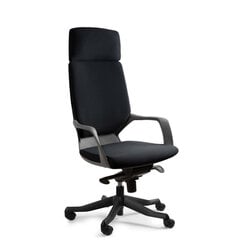 Эргономичное кресло Apollo, черный/черный цена и информация | Офисные кресла | kaup24.ee