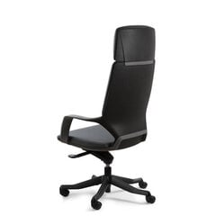 Эргономичное кресло Apollo, черный/черный цена и информация | Офисные кресла | kaup24.ee