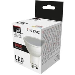 LED pirn Entac 4W GU10 3000K hind ja info | Lambipirnid, lambid | kaup24.ee