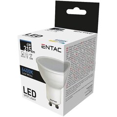 Светодиодная лампа Entac 4W GU10 6400K цена и информация | Лампочки | kaup24.ee