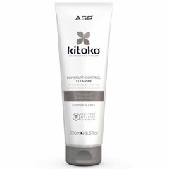 Kõõmavastane šampoon Kitoko Dandruff Control Cleanser, 250ml цена и информация | Шампуни | kaup24.ee