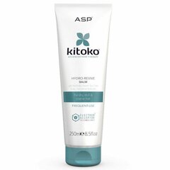 Juuksepalsam Kitoko Hydro Revive, 250ml цена и информация | Кондиционеры | kaup24.ee