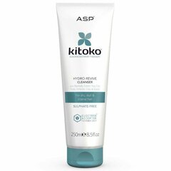 Šampoon Kitoko Hydro Revive Cleanser, 250ml цена и информация | Шампуни | kaup24.ee