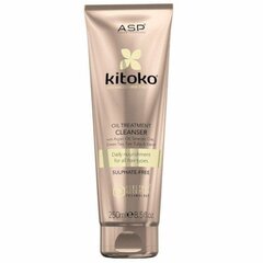 Šampoon KITOKO Oil Treatment Cleanser, 250ml hind ja info | Šampoonid | kaup24.ee