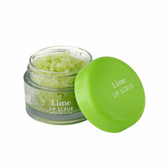 Huulekoorija Barry M Lip Scrub Lime, 15 g hind ja info | Huulepulgad, -läiked, -palsamid, vaseliin | kaup24.ee