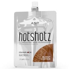 Toniseeriv juuksemask ASP Hotshotz Ice Chestnut, 200ml hind ja info | Juuksevärvid | kaup24.ee