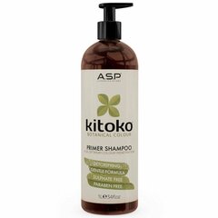 Puhastav šampoon Kitoko Botanical Color Primer Shampoo, 1000ml цена и информация | Шампуни | kaup24.ee