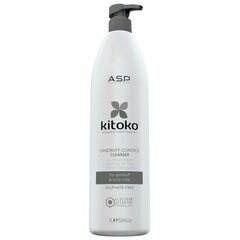 Kõõmavastane šampoon Kitoko Dandruff Control Cleanser, 1000ml цена и информация | Шампуни | kaup24.ee