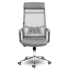 Офисное кресло с микрофоном Sofotel Brema, серое цена и информация | Офисные кресла | kaup24.ee