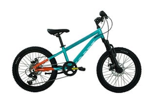 Детский велосипед Coppi Mtb 20", синий цвет цена и информация | Велосипеды | kaup24.ee
