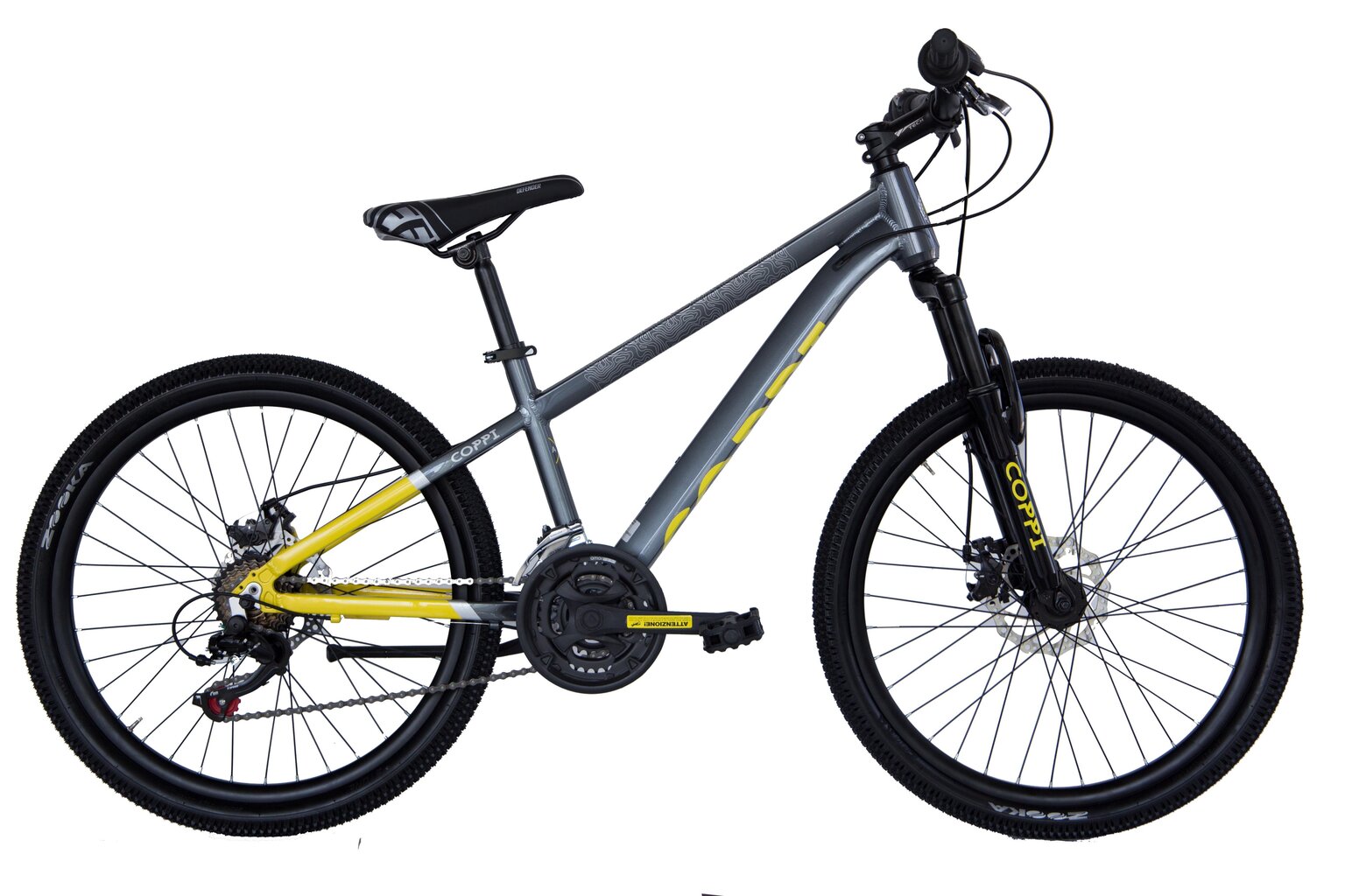 Maastikuratas Bimba Coppi 24", hall hind ja info | Jalgrattad | kaup24.ee