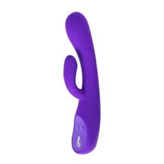 Вибратор Lioness The Lioness Smart Vibrator 2.0, фиолетовый цвеет цена и информация | Вибраторы | kaup24.ee