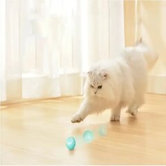 Nutikas kassi pall mänguasi, sinine, 1 tk цена и информация | Игрушки для кошек | kaup24.ee