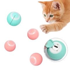 Nutikas kassi pall mänguasi, sinine, 1 tk цена и информация | Игрушки для кошек | kaup24.ee