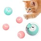 Nutikas kassi pall mänguasi, sinine, 1 tk hind ja info | Mänguasjad kassidele | kaup24.ee