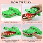 Krokodilli hambamänguasi, roheline hind ja info | Poiste mänguasjad | kaup24.ee