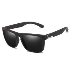 Классические мужские черные солнцезащитные очки цена и информация | Солнцезащитные очки | kaup24.ee