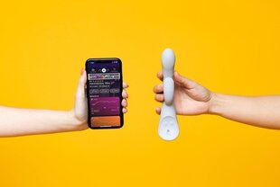 Вибратор Lioness The Lioness Smart Vibrator 2.0, серый цена и информация | Вибраторы | kaup24.ee