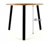 Kohvilaudade komplekt Lehmann Loft Table2, 56x54x42 cm, pruun hind ja info | Diivanilauad | kaup24.ee