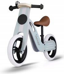 Tasakaaluratas, Ricokids RC-618 цена и информация | Детский трехколесный велосипед - коляска с удобной ручкой управления для родителей Riff F95941 2в1, фиолетовый | kaup24.ee