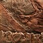 Juwel Cliff Tume struktuurne taust 60x55x3,5cm цена и информация | Akvaariumi taimed ja dekoratsioonid | kaup24.ee