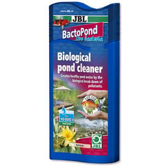 Elusbakterid JBL Bactopond Biostarter, 500 ml hind ja info | Mikroorganismid, bakterid | kaup24.ee