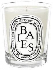 Diptyque lõhnaküünal Baies Candle, 190 g hind ja info | Küünlad, küünlajalad | kaup24.ee