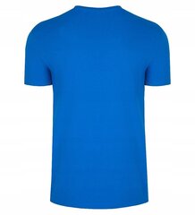 T-särk meestele 4F, sinine цена и информация | Мужские футболки | kaup24.ee