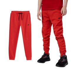 Spordipüksid poistele 4F, punane hind ja info | Poiste püksid | kaup24.ee