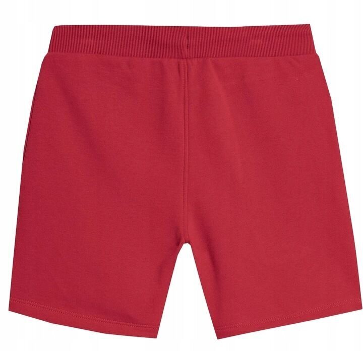 Lühikesed püksid poistele 4F, punane цена и информация | Poiste lühikesed püksid | kaup24.ee