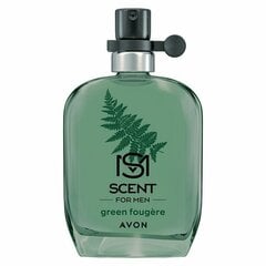 Tualettvesi Avon Scent green fougere EDT meestele, 30 ml hind ja info | Meeste parfüümid | kaup24.ee