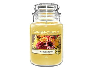 Yankee lõhnaküünal Golden Autumn, 623 g цена и информация | Подсвечники, свечи | kaup24.ee