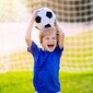 Jalgpallivärav lastele цена и информация | Jalgpalliväravad ja -võrgud | kaup24.ee