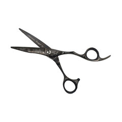 Парикмахерские ножницы Olivia Garden Dragon 5,5" цена и информация | Расчески, щетки для волос, ножницы | kaup24.ee