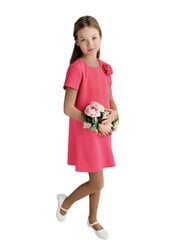 Детское платье 242123 01, ярко-розовый 242123*01-158 цена и информация | Платья для девочек | kaup24.ee