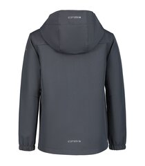 Icepeak детская софтшелл- куртка Kline 51897-4*270, серый/салатовый 6438549510096 цена и информация | Куртки для мальчиков | kaup24.ee