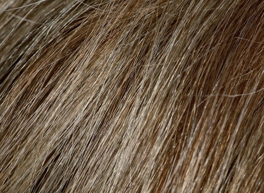 Tooniv habemešampoon Beardburys Color Shampoo 5N hind ja info | Juuksevärvid | kaup24.ee