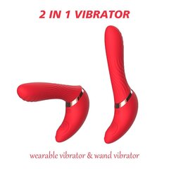 Vibraator Nalone Noah 2in1 цена и информация | Вибраторы | kaup24.ee