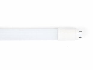 Светодиодная люминесцентная лампа T8 - 18 Вт - 120 см - одностороннее питание - холодный белый (6000 К) цена и информация | Лампочки | kaup24.ee