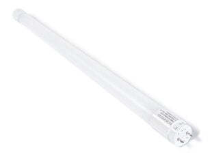 LED luminofoorlamp T8 - 9W - 60cm - ühepoolne toiteplokk - külmvalge (6000K) hind ja info | Lambipirnid, lambid | kaup24.ee