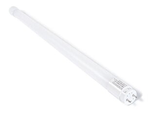 LED luminofoorlamp T8 - 9W - 60cm - ühepoolne toiteplokk - soe valge (3000K) hind ja info | Lambipirnid, lambid | kaup24.ee