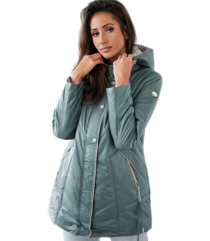 Women's transitional spring hooded jacket LUIZA 16823-F hind ja info | Naiste joped ja parkad | kaup24.ee