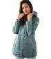 Women's transitional spring hooded jacket LUIZA 16823-F цена и информация | Naiste joped ja parkad | kaup24.ee