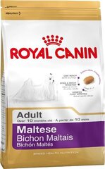 Royal Canin Maltese Adult Malta bichoni tõugu koertele, 0,5 kg цена и информация | Сухой корм для собак | kaup24.ee