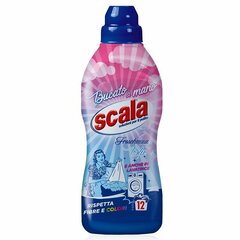 Pesuaine õrnadele kangastele SCALA 750ml (12 PESU) hind ja info | Pesuvahendid | kaup24.ee