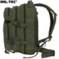 Matkakott Mil-Tec, US Assault Pack SM 20L, oliiv hind ja info | Matkakotid ja reisikotid | kaup24.ee